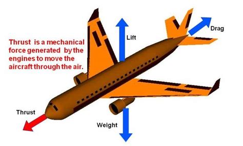 Introducir 51+ imagen physics of flight - fr.thptnganamst.edu.vn