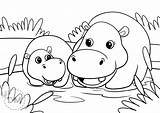 Hippo Coloring Page For Kids  Diy Magazinecom sketch template