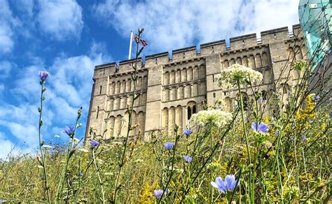 Norwich Castle Museum & Art Gallery - a great Norwich day out - Enjoy ...