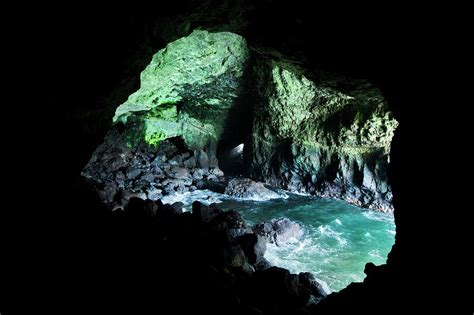 Sea Lion Caves, Oregon, Usa Photograph by R. Tyler Gross - Pixels