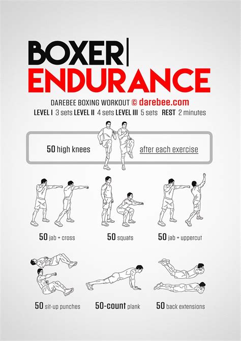 Boxer Endurance Workout | Endurance workout, Boxing workout, Mma workout