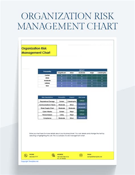 Organization Risk Management Chart - Excel, Google Sheets | Template.net