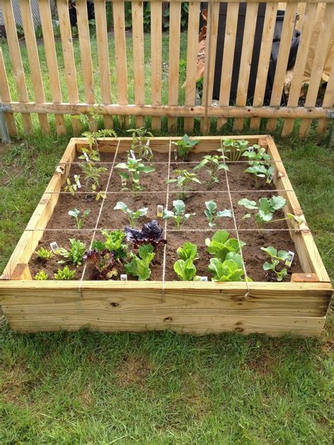 Garden Like A Pro With These Simple Tips | Vegetable garden raised beds, Raised garden beds ...