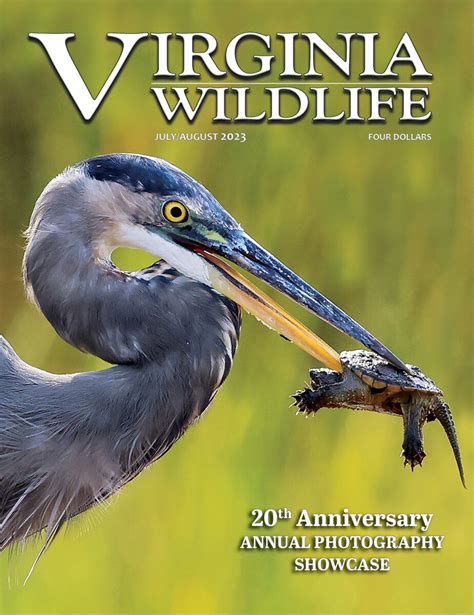 The story behind this special 2023 Virginia Wildlife magazine cover ...