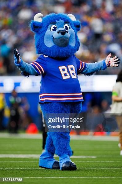 Billy Buffalo mascot of the Buffalo Bills during a game between the ...