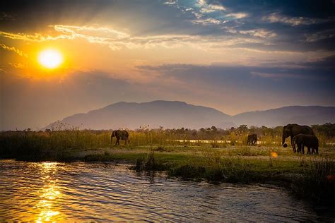 Zambezi River In Africa