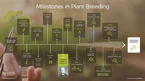 Milestones in plant breeding. A history and tradition of innovation ...