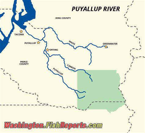 Puyallup River - Fish Reports & Map