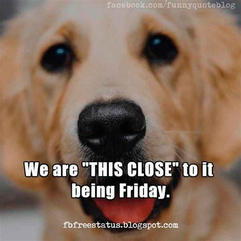 We are this close to it being Friday, Happy Wednesday Meme. Funny Wednesday Quotes, Wednesday ...