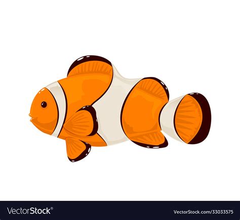 Clown fish on white background Royalty Free Vector Image