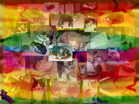 Rainbow Kittens by zzgothikpunk on DeviantArt