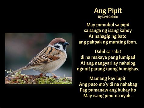 May Isang Pipit Na Iiyak Song | ngisingsang