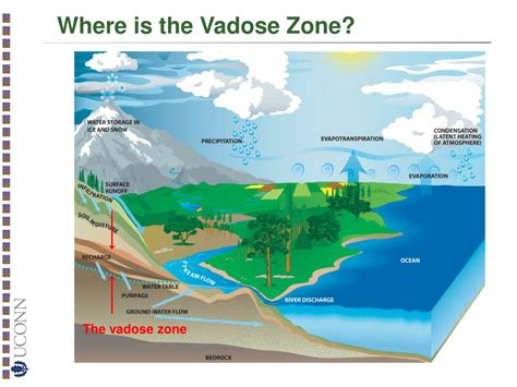 PPT - Introduction to Vadose Zone Hydrology PowerPoint Presentation ...