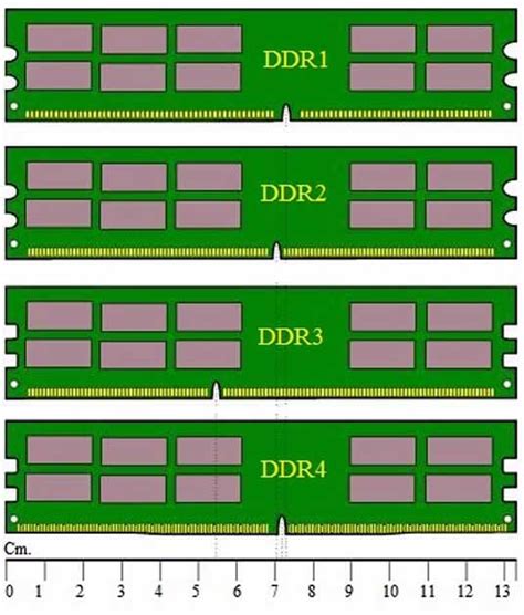 vanità Teseo Parziale ddr2 3 4 stridio Parecchi pulizia