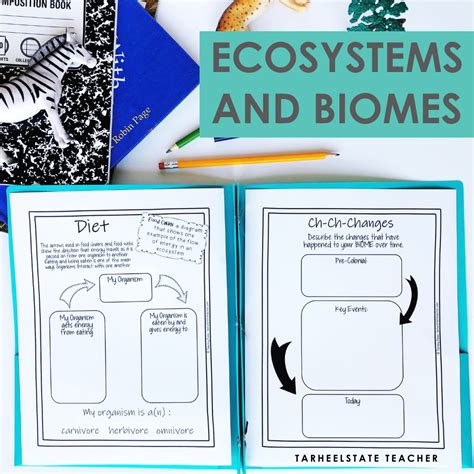 Examples Of Ecosystems Projects