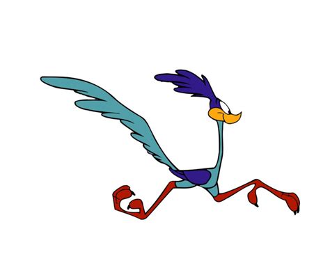 Road Runner Cartoon Drawing | Free download on ClipArtMag