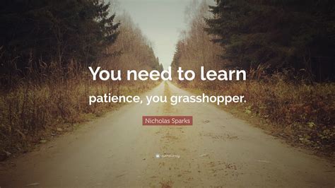 Nicholas Sparks Quote: “You need to learn patience, you grasshopper.”