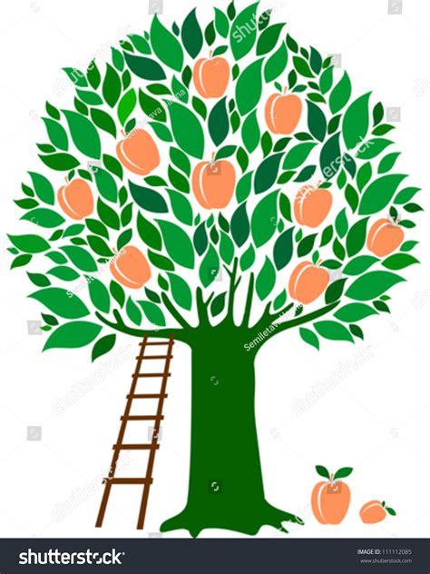 clipart peach tree 20 free Cliparts | Download images on Clipground 2024