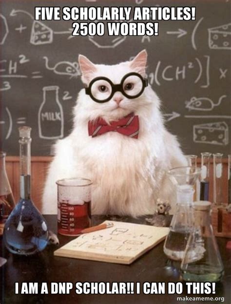 Five scholarly articles! 2500 Words! I am a DNP Scholar!! I CAN DO THIS! - Chemistry Cat Meme ...