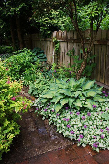 Lamium hosta shade brick path – Artofit