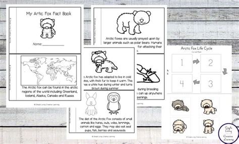 Arctic Fox Life Cycle Printable Pack | Arctic fox, Life cycles, Arctic