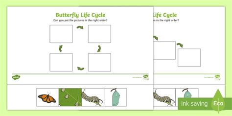 Minibeasts Life Cycle of a Butterfly Worksheets - Twinkl