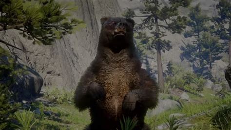 Perfect grizzly bear pelt rdr2