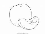 Nectarine Coloring Page For Kids  Free Printable sketch template
