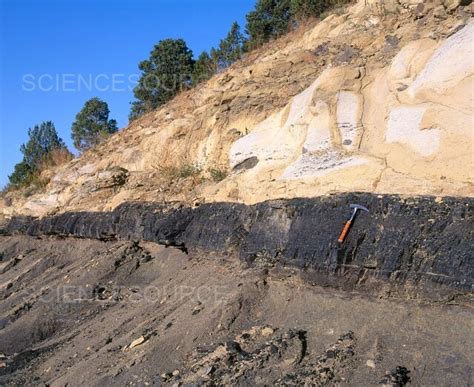 Coal Seam from Upper Cretaceous | Stock Image - Science Source Images