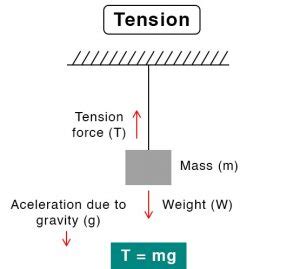 Compression Vs Tension | Example of Tension Force & Compression Force | Tension Force Formula ...