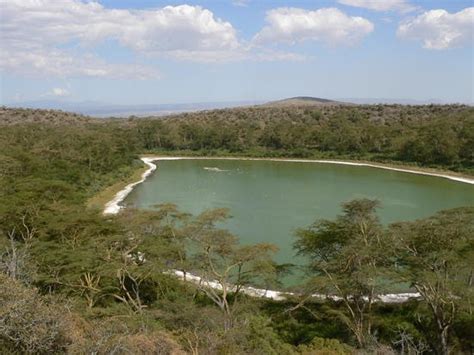 AFRICA MY HOMELAND: CRATER LAKE : NAIVASHA KENYA