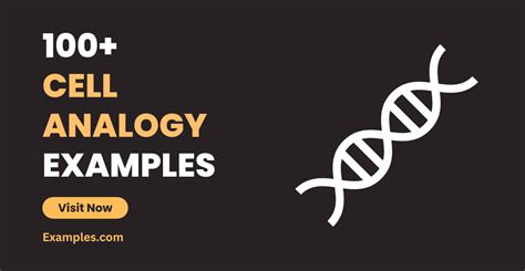 Cell Analogy - 100+ Examples, How to Write, Tips