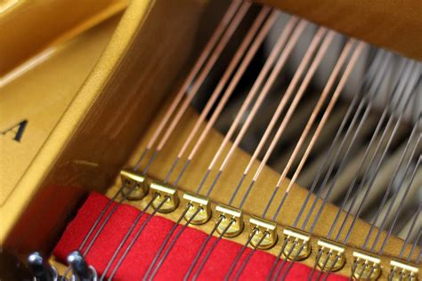 The Interior Parts of a Grand Piano - Chupp's Pianos