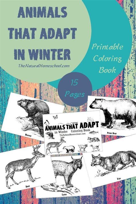 animals that adapt in winter coloring book with the title overlaying it's image