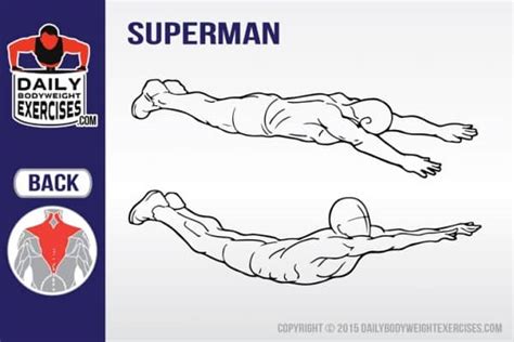 Superman Core Exercise - Daily Bodyweight Exercises