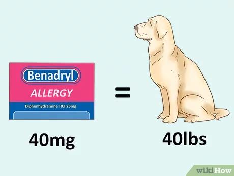 Can Benadryl Be Used To Treat Anxiety In Dogs