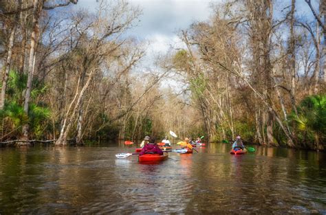 December on the Ocklawaha River | Florida Paddle Notes