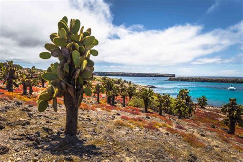 8 Must-Visit Islands in the Galapagos