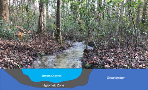 The Hyporheic Zone and Streams | Home & Garden Information Center