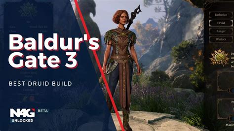 Best Druid build in Baldur's Gate 3 - N4G