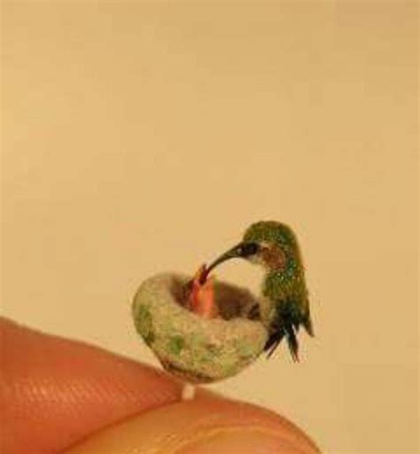 Bee Hummingbird Nest