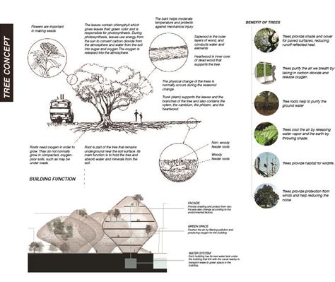 Ningnong Sirada Pattananitsakul 5434814025 : tree concept function and system adapted to the ...