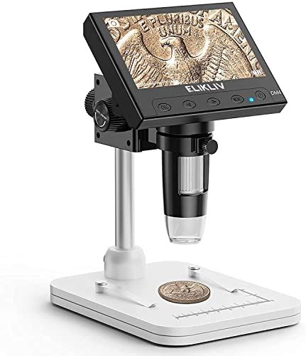 6 Best Coin Magnifiers for Collectors in 2023