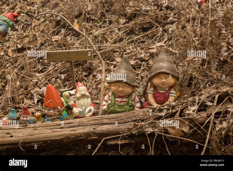 Gnomesville before the Great Gnomesville Flood of 2018 Stock Photo - Alamy