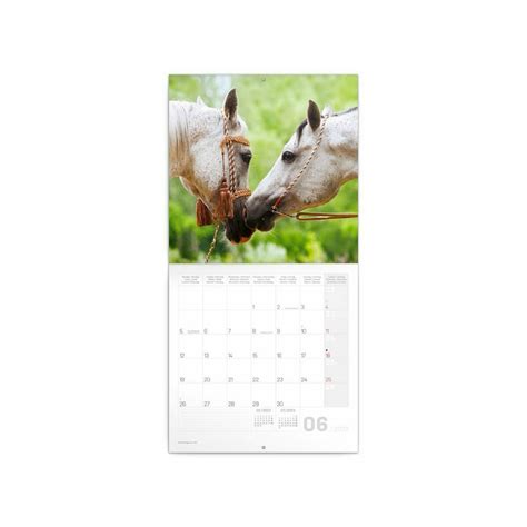 Calendrier 2023 Animaux cute