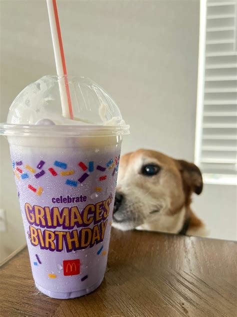 What we thought of McDonald's new Grimace shake