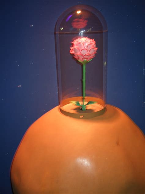 File:Little Prince's Rose.jpg - Wikimedia Commons