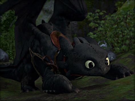 Toothless ☆ - Toothless the Dragon Wallpaper (32987044) - Fanpop