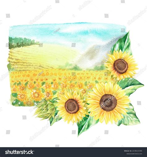 13,873 Farm Field Watercolor Images, Stock Photos & Vectors | Shutterstock