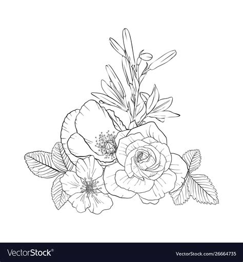 Drawing flowers Royalty Free Vector Image - VectorStock